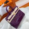 N5 Cassis Birkin 25cm Nile Shiny Crocodile Leather Gold Hardware Full Handmade