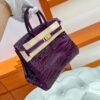 N5 Cassis Birkin 25cm Nile Shiny Crocodile Leather Gold Hardware Full Handmade