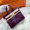 N5 Cassis Birkin 25cm Nile Shiny Crocodile Leather Gold Hardware Full Handmade